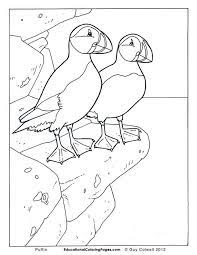 Online printable coloring sheets even if can be quickly delivered at the reception desk. Birds Book One Educational Fun Kids Coloring Pages And Preschool Bird Coloring Pages Animal Coloring Pages Coloring Pages