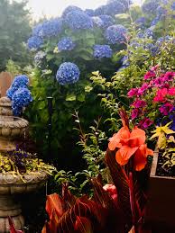 Like a lot of cities and towns along this coast, astoria had to reinvent itself after the fishing and timber industries that once sustained it waned. Gardening On The Oregon Coast Finegardening