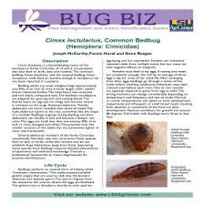 A newspaper article on the bedbug problem quotes a representative from orkin pest control who claims that in north olmsted over the. Cimex Lectularius Common Bedbug Hemiptera Cimicidae
