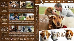 We did not find results for: A Dog S Purpose A Dog S Way Home A Dog S Journey Triple Feature R1 Custom Blu Ray Cover Dvdcover Com