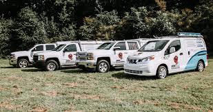 Their hunger for wood will cause extensive damage to homes and businesses. The Pest Rangers Linkedin