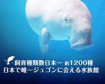 鳥羽水族館の画像