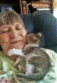 Fostering Kittens is a Proud Tradition for Windsor Family