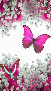 Butterflies Butterfly Wallpaper Butterfly Art Butterfly Wallpaper Backgrounds