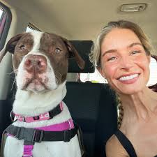 Bernese mountain dogs love scratches and rubs
