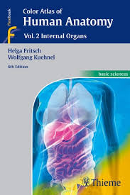 Clinically focused, consistently and clearly illustrated, and logically organized, gray's atlas of anatomy, the companion resource to the popular gray's anatomy for students, presents a vivid, visual depiction of anatomical structures. Anatomy Color Atlas Of Human Anatomy