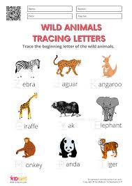 Have fun learning the animal names and practicing writing the names in the space provided. Wild Animals Worksheets For Kindergarten Kidpid Free Printable Worksheets Games
