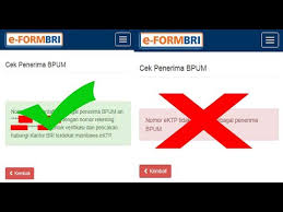 Khusus diisi bagi nasabah yang tidak memiliki rekening di bri dengan jumlah penyetoran > rp. Cek Blt Umkm Online Di E Form Bri Youtube
