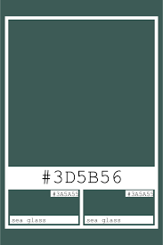 Sea Glass 3d5b56 Color Hex Codes And