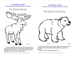 James hager / getty images the american black bear (ursus americanus) is a large omnivore. Coloring Pages For Kids The Maine Black Bear And The Jackman Moose Black Bear Coloring Pages For Kids Coloring Pages