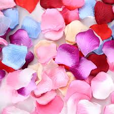 We did not find results for: 100pc Petals Silk Fake Flower Floral Confetti Birthday Wedding Party Decoration Shopee Malaysia