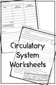 Pin On Math Worksheets