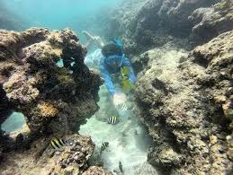 Liburan Seru Ke Pantai Wedi Ombo Gunungkidul Yg Indahnya Kebangetan