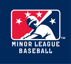 Minor league players have no minimum salary; The Dark Side Of Minor League Baseball Metsmerized Online
