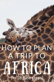 How To Plan A Trip To Africa In 20 Easy Steps In 2020 South Africa Travel African Travel Travel Fun