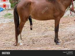 Bigstock