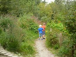 Ontdektuin Basisschool T Anker In Amersfoort Tuin Basisschool Tuinpad