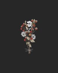 Delta Breezes Hipster Phone Wallpaper Minimalist Wallpaper Hipster Wallpaper