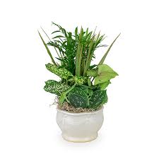 Nancy Flory Obituary