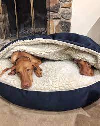If your dog naturally likes to burrow or often sleeps under blankets, they might appreciate a dog cave bed. Snoozer Luxury Cozy Cave Dog Bed 28 Colors Fabrics 3 Sizes Cozy Cave Dog Bed Cave Dog Bed Cool Dog Beds