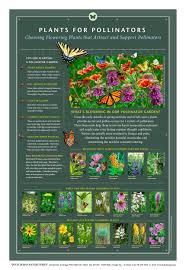 Check spelling or type a new query. Outdoor Interpretive Signs Pollinator Garden Insects Monarch Butterfly Bee Native Flower Plant Guide Pulse Design Outdoor Interpretive Signs