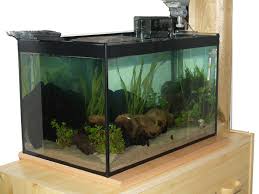 Eingerichtet wird diese behausung vom aquarianer, welcher sie sind, wenn sie ein aquarium kaufen. 25l Garnelen Schnecken Killis Aquarium Forum
