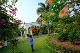 Berada di kaki gunung ungaran, taman bunga setya aji atau yang lebih dikenal sebagai setya aji flower farm mulai ramai didatangi wisatawan. Taman Bunga Kuala Lumpur Malaysia Sirb Travel Tours