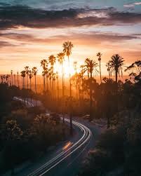 Paul rey) и другие скачать в mp3 и слушать музыку онлайн. Los Angeles California By Ivan Wong By Californiafeelings Com California Cali La Ca Sf Sandiego California Travel California Sunset Los Angeles Palm Trees