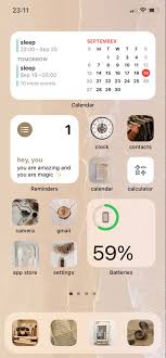 Cute Aesthetic Ios Homescreen In 2020 Iphone Layout Homescreen Iphone Iphone App Layout