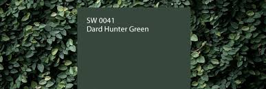 Image result for Dark Hunter Green 1995 AAV