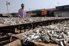 We did not find results for: Nelayan Menjemur Ikan Hasil Tangkapan Foto 1 826942 Tribunnews Com Mobile