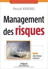 Management Des Risques Inclus Secteurs Banque Et Assurance Pdf Gratuit Bookpdf Livresgratuit Management Management Business Communication The Borrowers