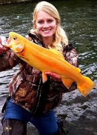 I felt like by the end of our experience i had caught several metric tons of trout and trout based fish. 6 Strange Trout Varieties