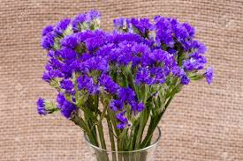 Although there are dyes and even minerals that you can use to make purple soap. Dark Purple Statice Limonium Sinuatum Flowers In Clear Glass Stock Photo Picture And Royalty Free Image Image 128292570