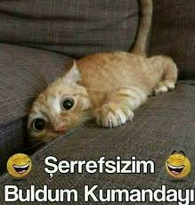 Kumanda Boyle Bulunur Az Mi Aramadik Okumandayi Kumandaniz Kaybolduysa M Kuzu Ya Basvurabilirsiniz Komik Hayvan Fotograflari Komik Hayvan Hayvan Mizahi