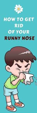 Here Are Some Smart Ways To Stop A Runny Nose Drink Plenty Of Fluids Get Plenty Of Rest Apply A Warm Compress Get Runny Nose Saline Nasal Spray Nasal Spray