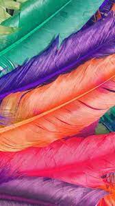 Super Cute Lock Screens Feather Wallpaper Flower Phone Wallpaper Colorful Feathers