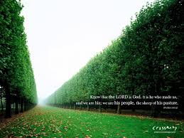 You can also upload and share your favorite hd bible verse desktop wallpapers. 50 Wallpaper Biblical Nature On Wallpapersafari