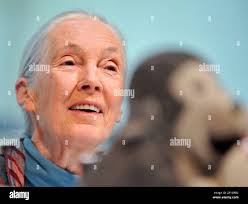 Goodall' hi-res stock photography and images