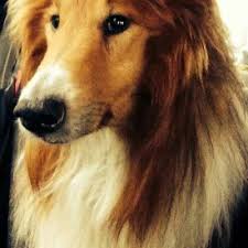 Rafal Galek (@rafal_galek)