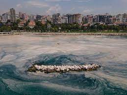 Experts linked the increasing amount of sea snot to high sea temperatures stemming from climate change as well as the discharge of untreated sewage into the sea. Ky7s Kwwteybjm