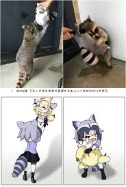 Arai San Huggle Fennec Plushie Anime Funny Anime Memes Funny Anime Furry