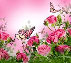 The Summertime And Butterflies All Belong To Your Creation Meaning Butterflies Desktop Background Wallpapers Hd Free 502478 Butterfly Wallpaper Flowers Beautiful Butterflies