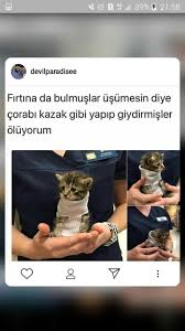𝑪𝒂𝒏𝒔𝒖 adli kullanicinin karisik post twit panosundaki pin komik seyler komik komik tumblr