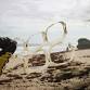 Sunnyside Beach Clean-Up — The Bair