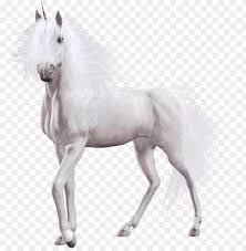 Unicorn White Horse Png Image With Transparent Background Toppng Here you can explore hq unicorn transparent illustrations, icons and clipart with filter setting like size, type, color etc. unicorn white horse png image with