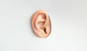 70 Procent Van De Belgen Heeft Last Van Oorklachten Gezondheid Be