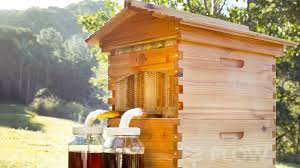 So können beispielsweise bienen den pflanzen im garten sehr zugute kommen. Dein Eigener Honig Gehofte Bienen Bienenhaltung