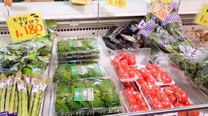 武蔵小山に住んでいるなら野菜は 二葉フードセンター で買うのがおすすめ 武蔵小山info