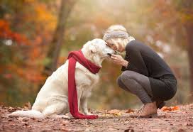 We did not find results for: 16 Mother S Day Gifts For Dog Mums In 2021 Australian Dog Lover